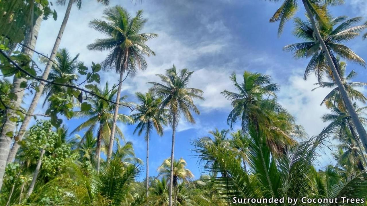 Mansuar Raja Ampat Bungalows Kri Kültér fotó